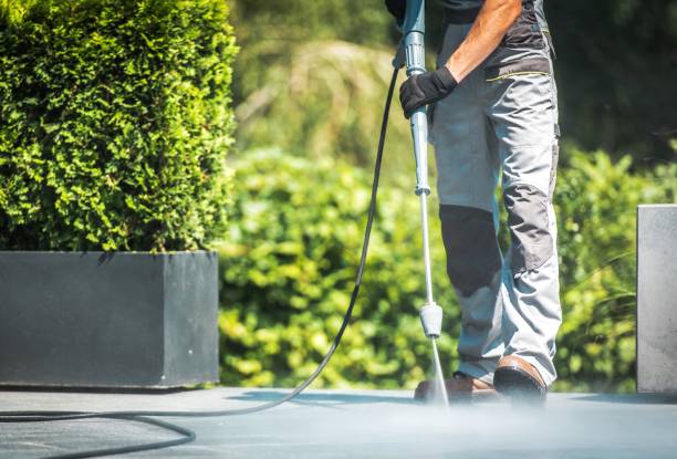 Best Pre-Holiday Cleaning  in Blackhawk, SD